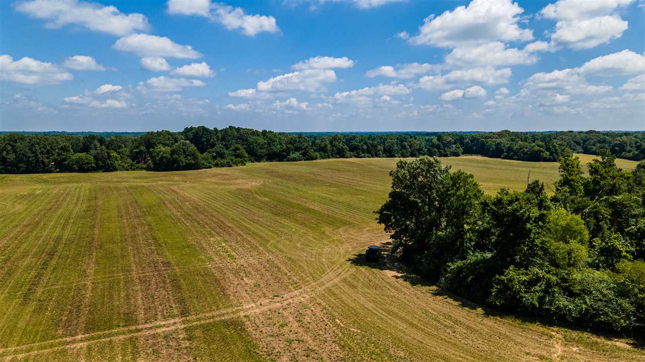 Solomon Mill Road Somerville, TN 38068 - Photo 12 of 14 Gallery Image 12