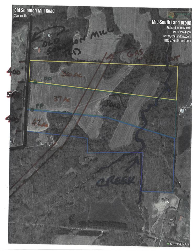 Solomon Mill Road Somerville, TN 38068 - Photo 14 of 14 Gallery Image 14