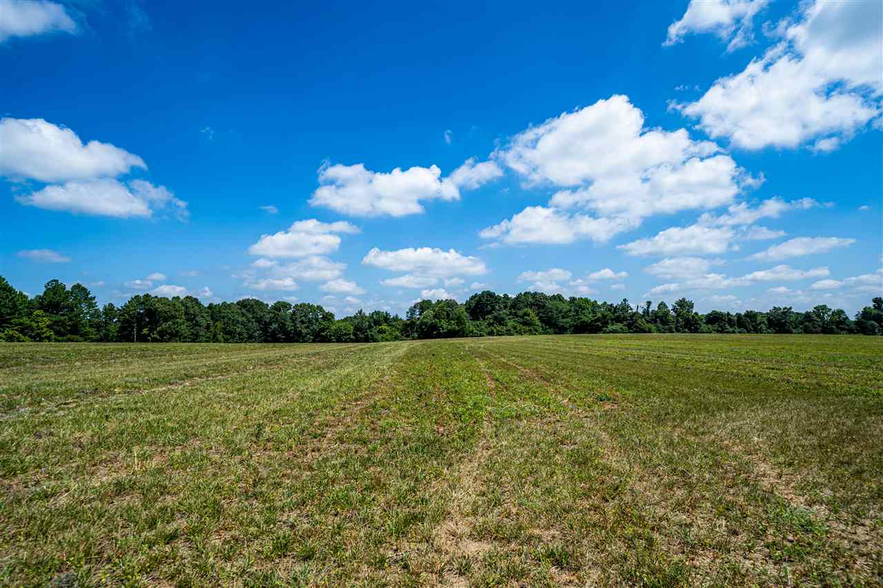 Solomon Mill Road Somerville, TN 38068 - Photo 9 of 14 Gallery Image 9