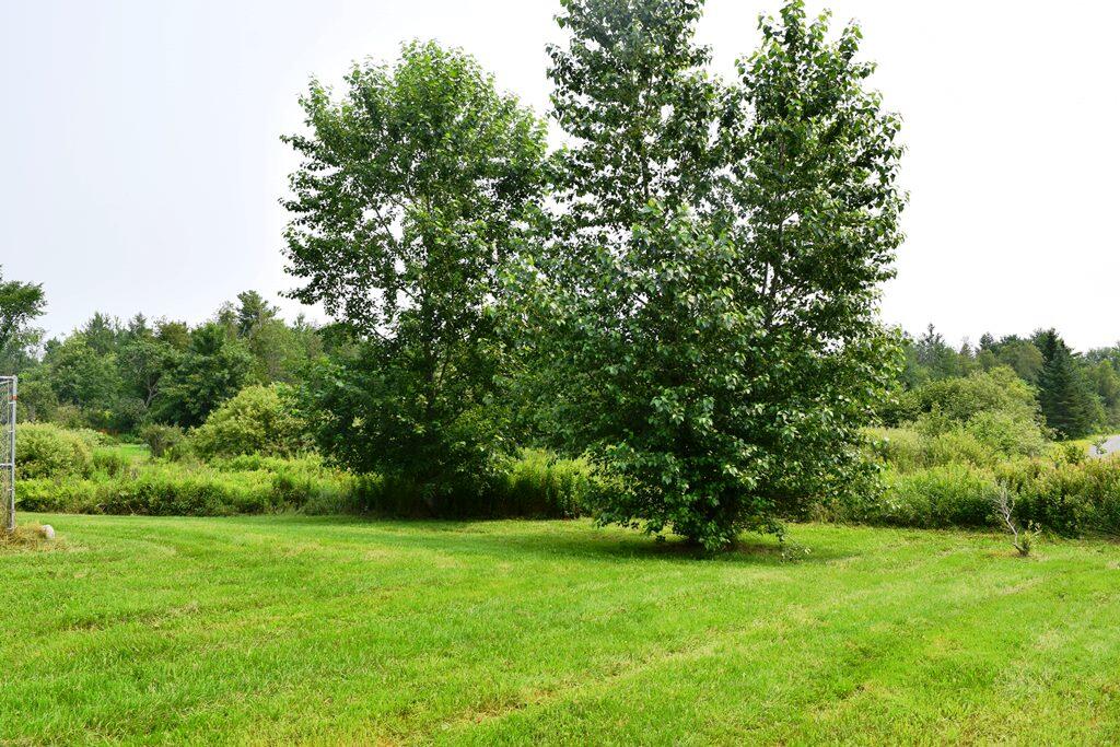 128 Bayside Road Ellsworth, ME 04605 - Photo 25 of 28 L 25