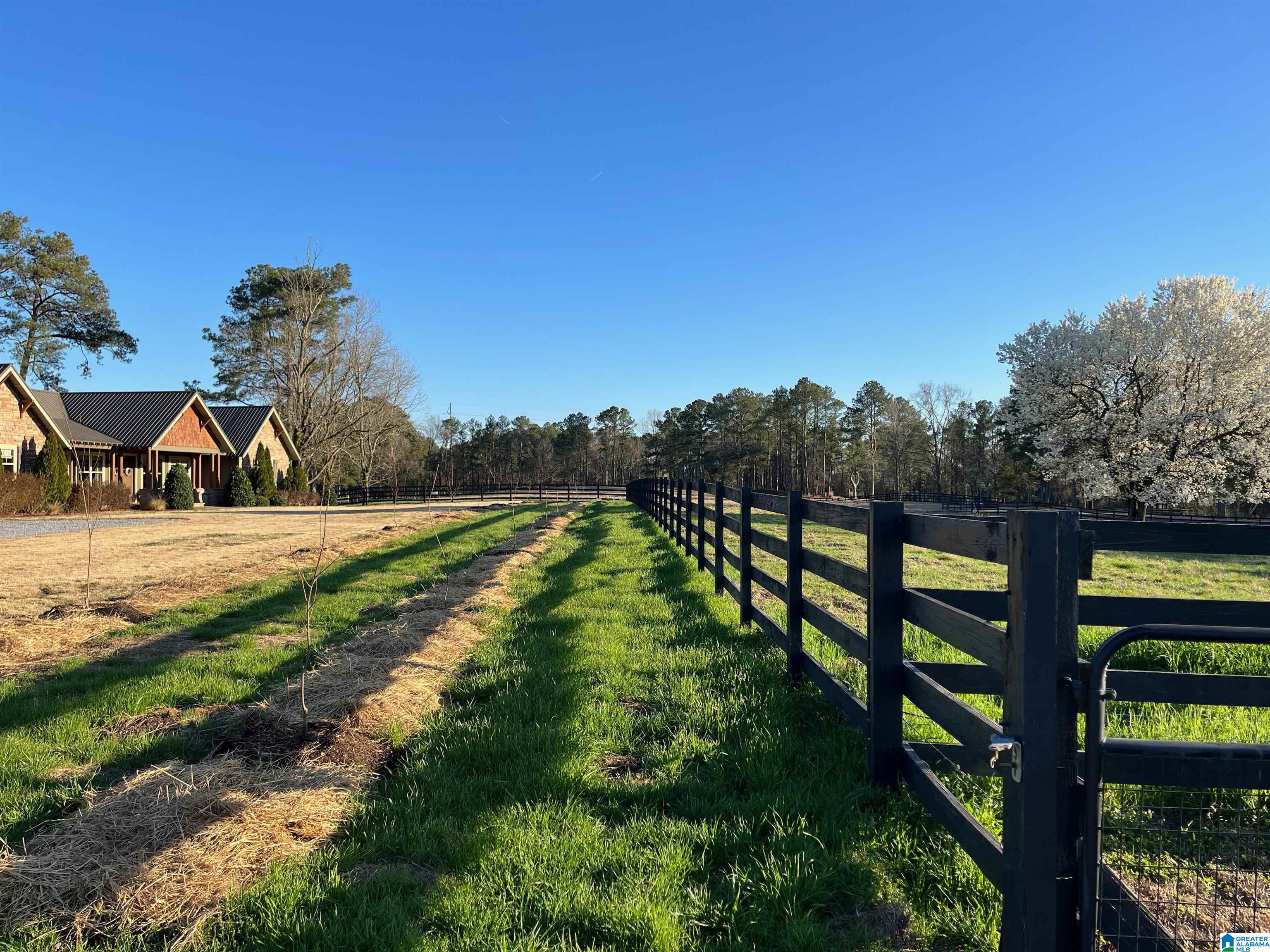 1396 Sun Valley Road Harpersville, AL 35078 - Photo 66 of 82