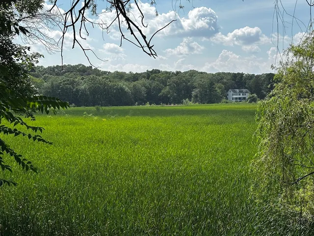a view of field with lush green forest