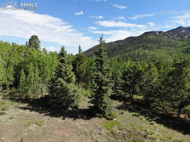 $120,000 | 12775 Highway 67, Cripple Creek, CO 80813