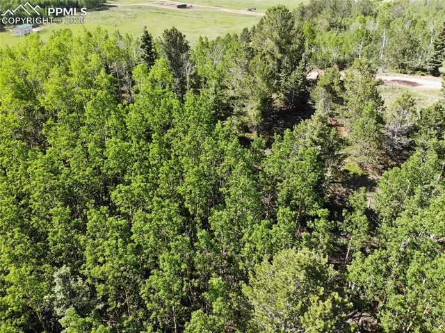$120,000 | 12775 Highway 67, Cripple Creek, CO 80813
