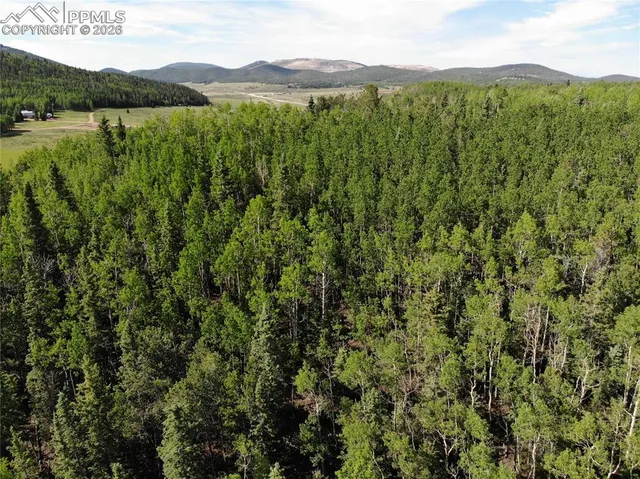 $120,000 | 12775 Highway 67, Cripple Creek, CO 80813