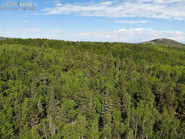 $120,000 | 12775 Highway 67, Cripple Creek, CO 80813