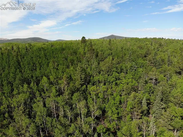 $120,000 | 12775 Highway 67, Cripple Creek, CO 80813