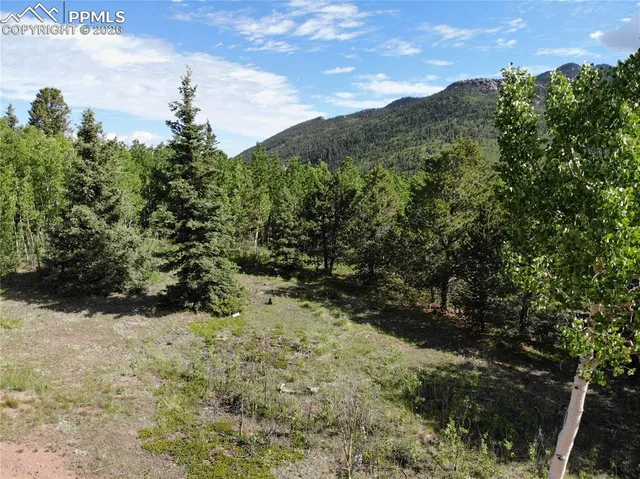 $120,000 | 12775 Highway 67, Cripple Creek, CO 80813