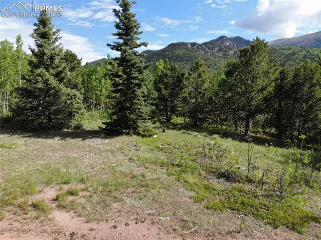 $120,000 | 12775 Highway 67, Cripple Creek, CO 80813