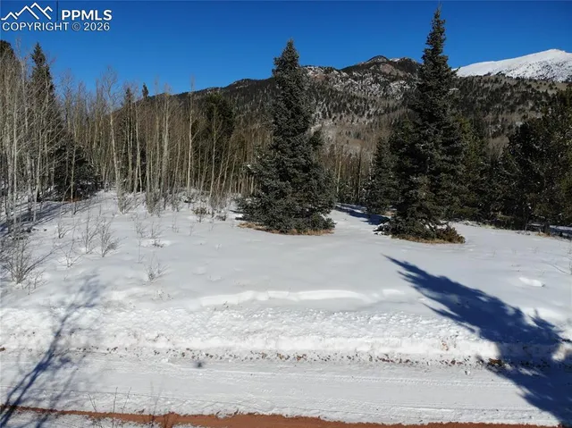 $120,000 | 12775 Highway 67, Cripple Creek, CO 80813