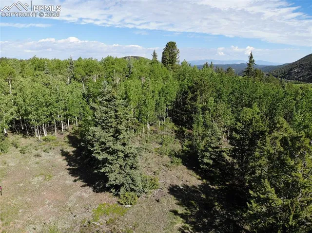 $120,000 | 12775 Highway 67, Cripple Creek, CO 80813