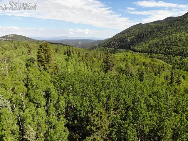 $120,000 | 12775 Highway 67, Cripple Creek, CO 80813