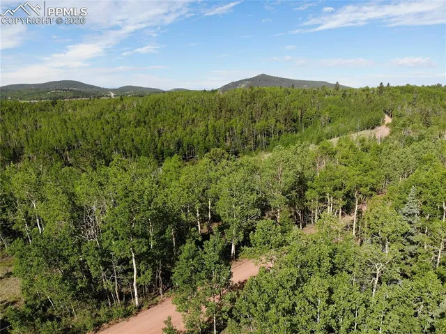 $120,000 | 12775 Highway 67, Cripple Creek, CO 80813