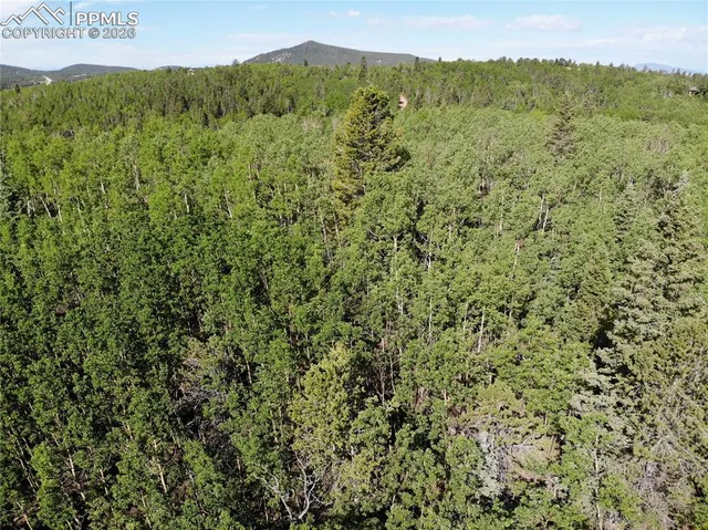 $120,000 | 12775 Highway 67, Cripple Creek, CO 80813