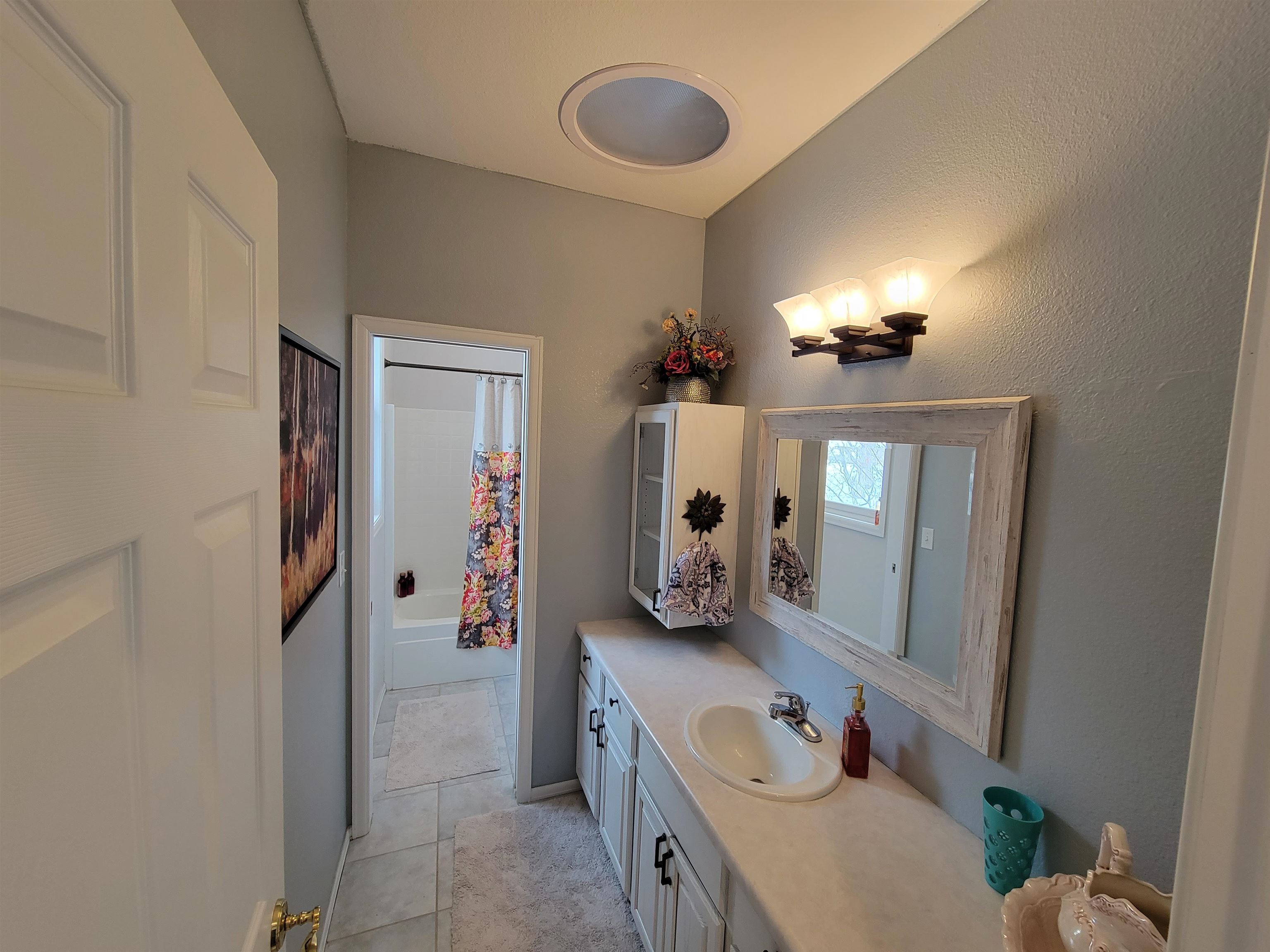 15753 Heavens View Road Cedaredge, CO 81413 - Photo 16 of 33 a bathroom with a sink vanity and mirror