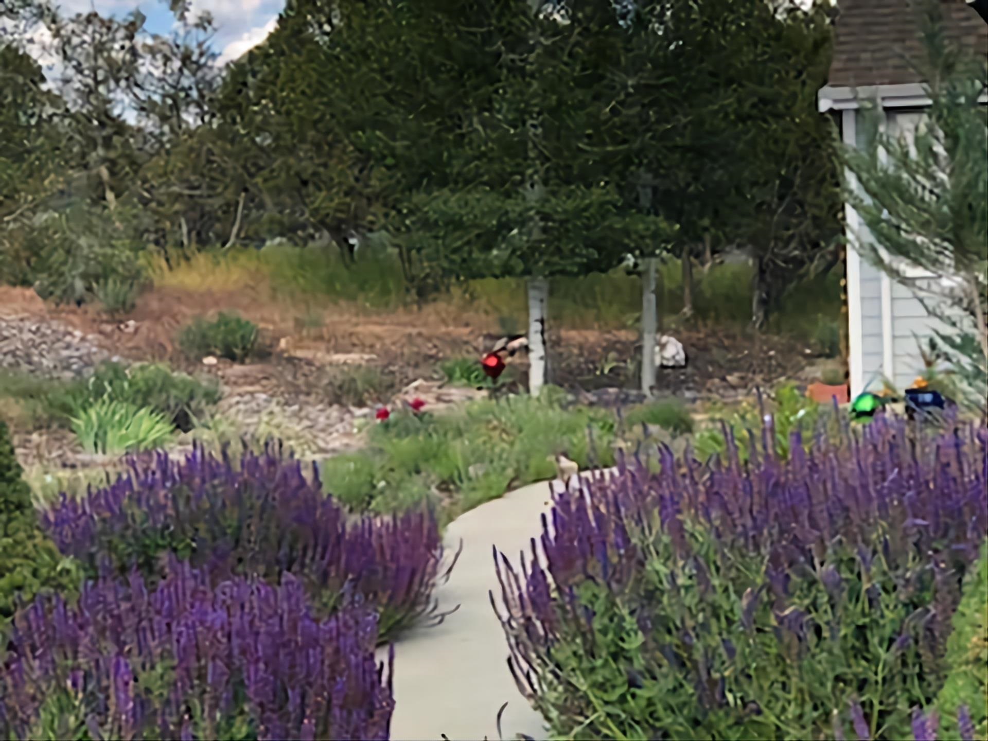 15753 Heavens View Road Cedaredge, CO 81413 - Photo 29 of 33 a view of a backyard with plants and large trees