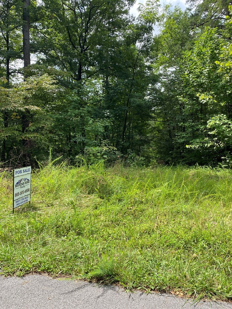 25 Fox Hunters Way Sevierville, TN 37876 - Photo 8 of 8