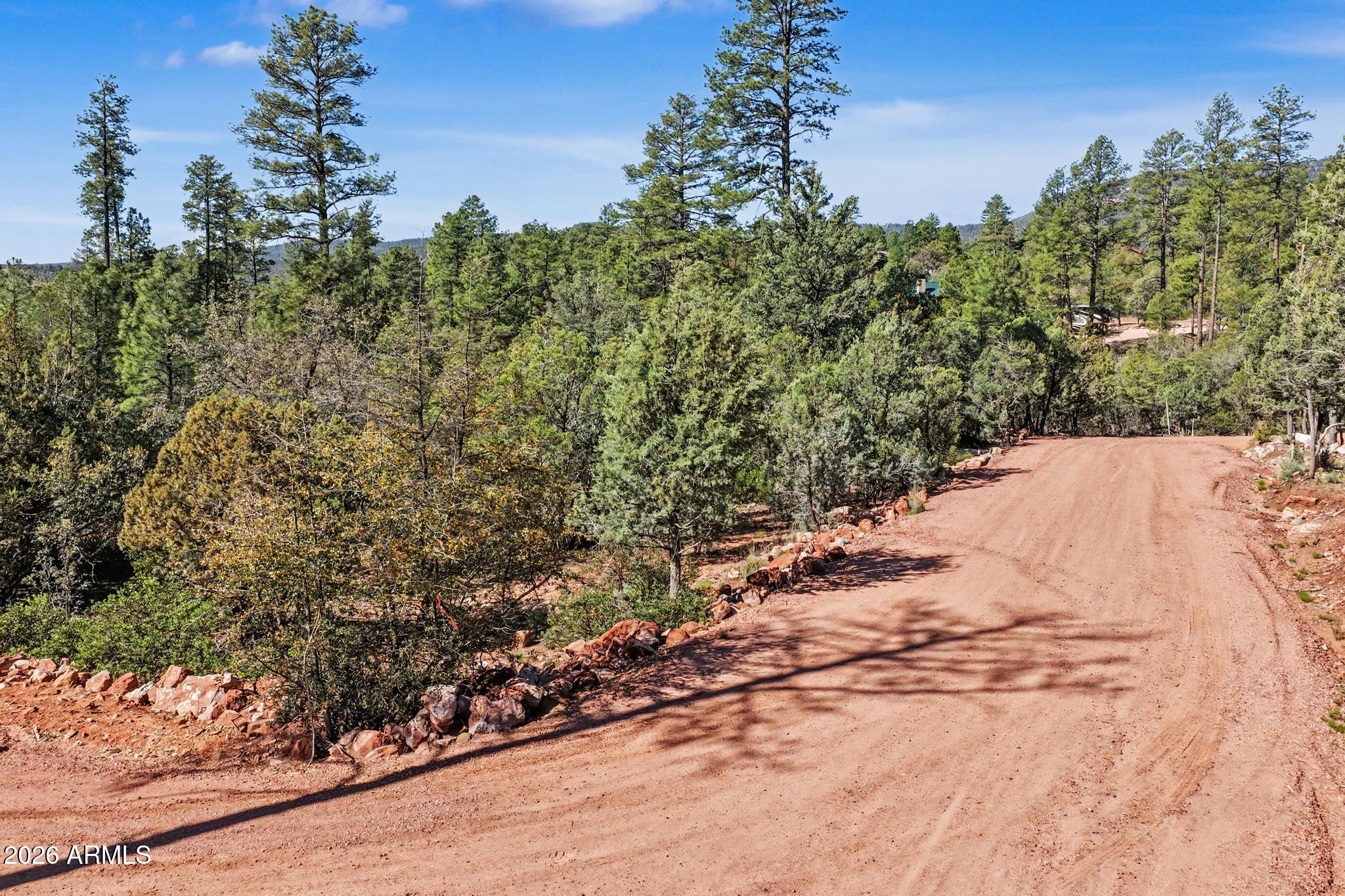 0 Fawn Drive, Unit 5 Pine, AZ 85544 - Photo 11 of 13 a view of a yard with plants and tree