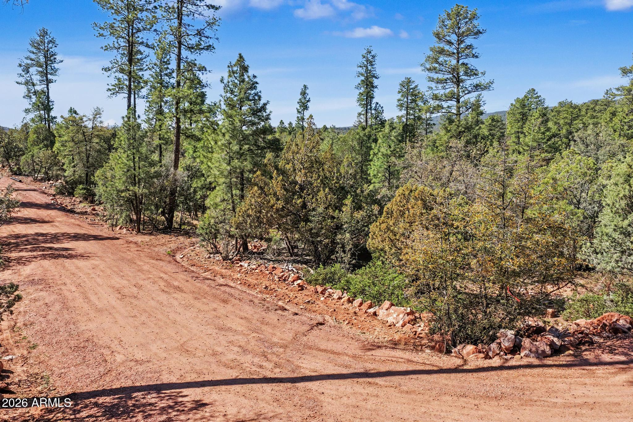 0 Fawn Drive, Unit 5 Pine, AZ 85544 - Photo 12 of 13 a view of a yard with plants and trees