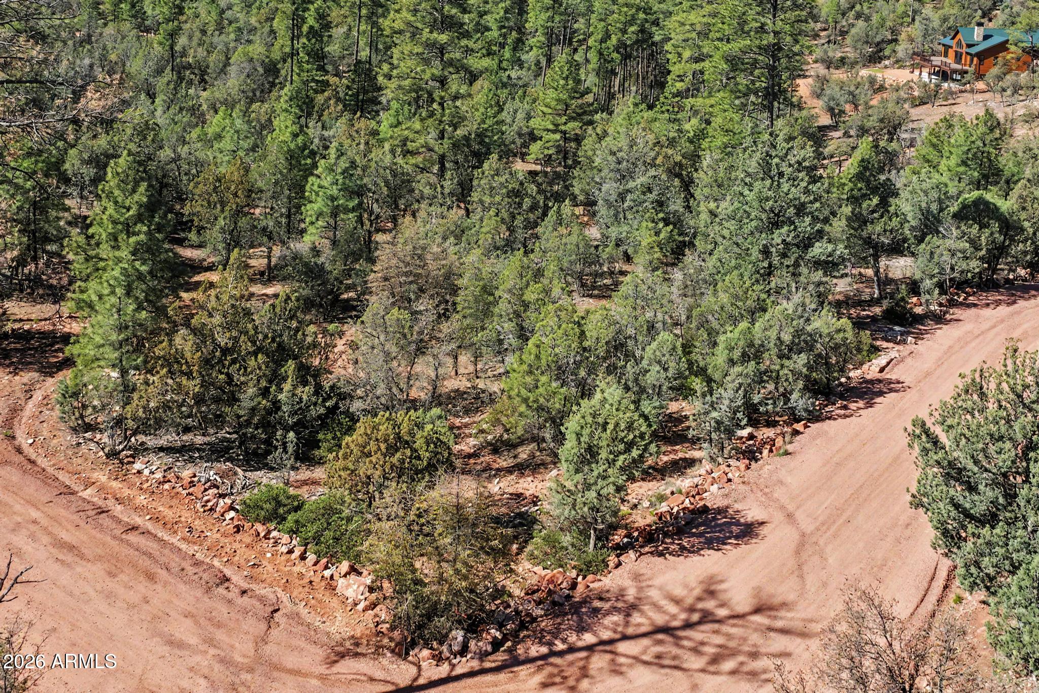 0 Fawn Drive, Unit 5 Pine, AZ 85544 - Photo 13 of 13 a view of a forest with trees