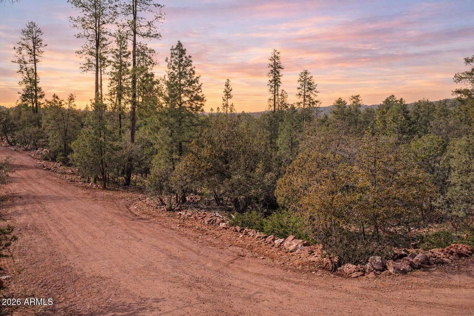 0 Fawn Drive, Unit 5 Pine, AZ 85544 - Photo 3 of 13 a view of a forest with trees in the background