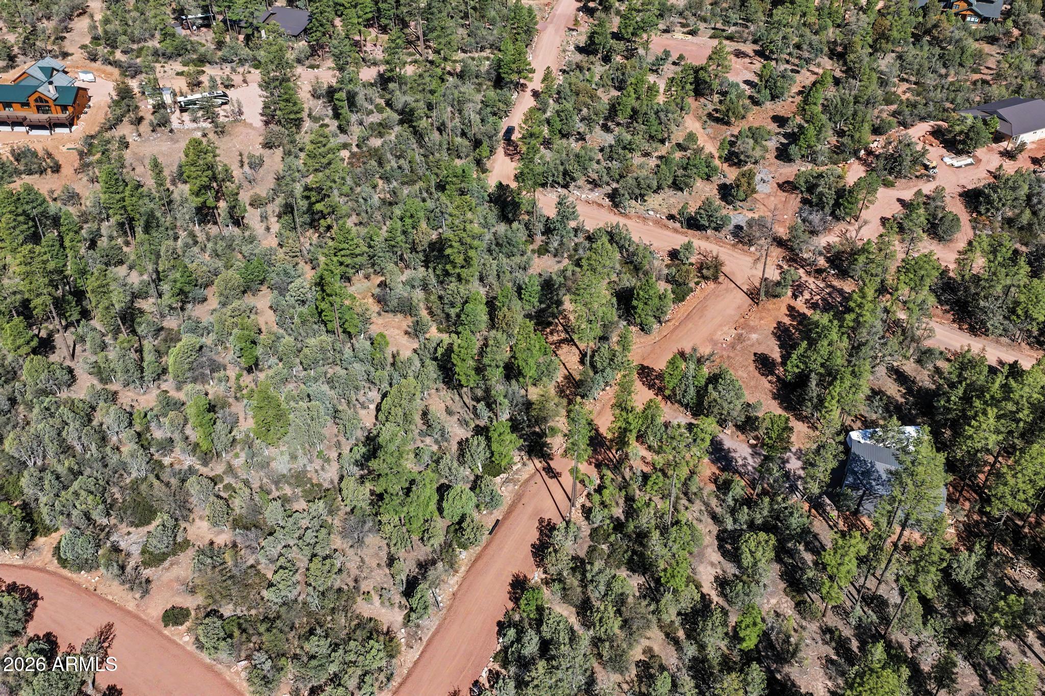 0 Fawn Drive, Unit 5 Pine, AZ 85544 - Photo 7 of 13 a view of a forest with a tree