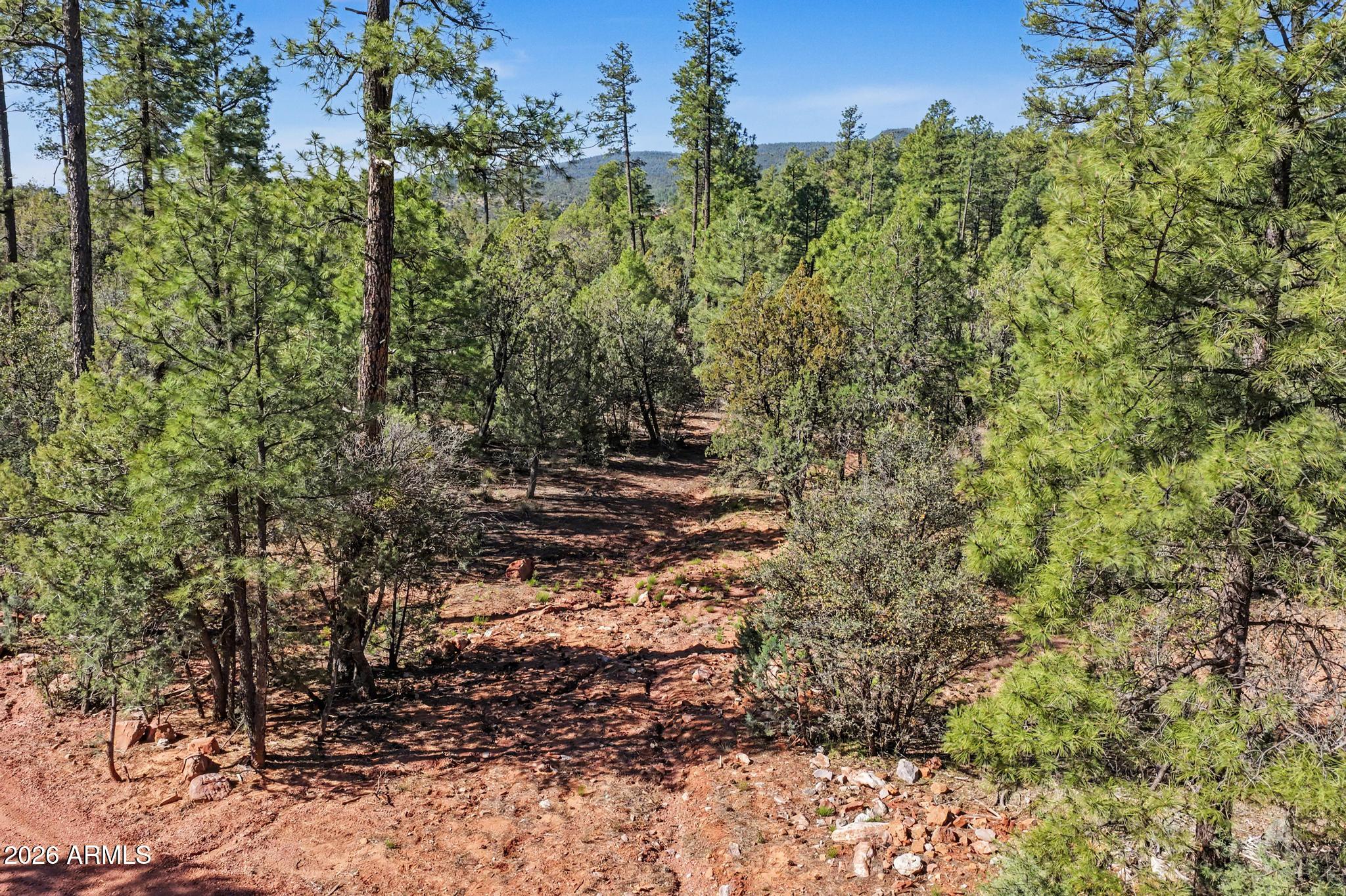 0 Fawn Drive, Unit 5 Pine, AZ 85544 - Photo 10 of 13 a view of a forest filled with trees