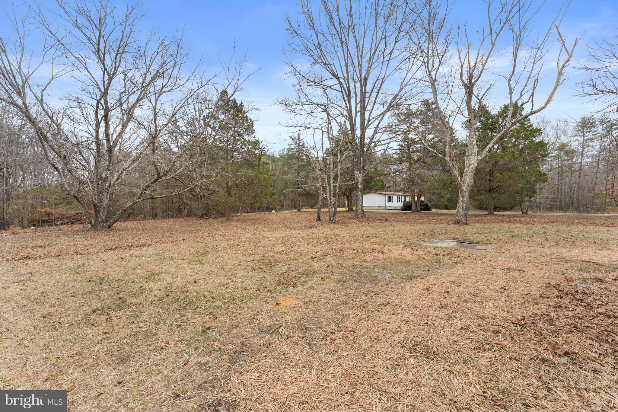 3578 Johnson Road Mineral, VA 23117 - Photo 25 of 27 a view of empty field with trees