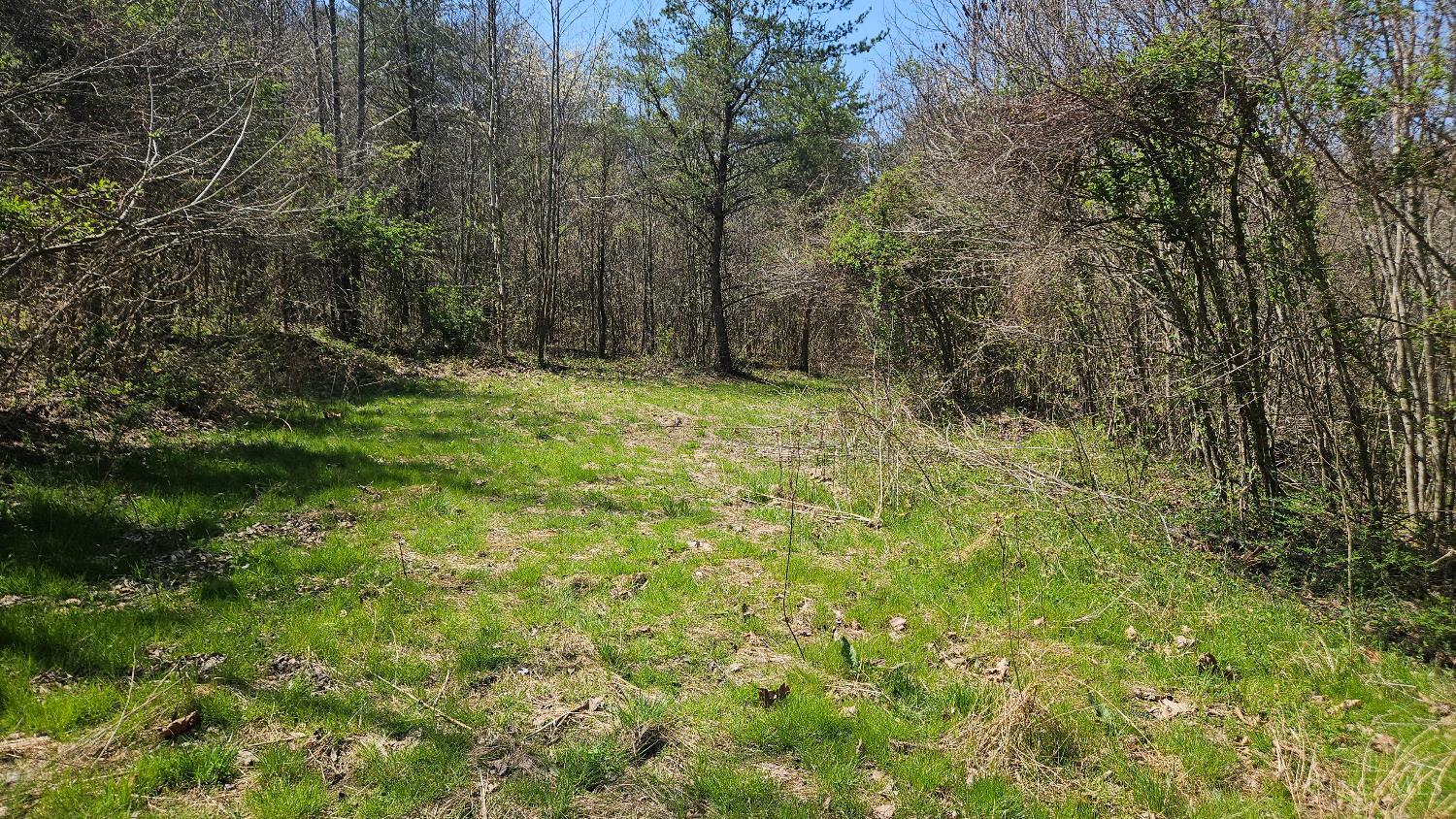 0 Spruce Hollow Road South Webster, OH 45682 - Photo 11 of 54