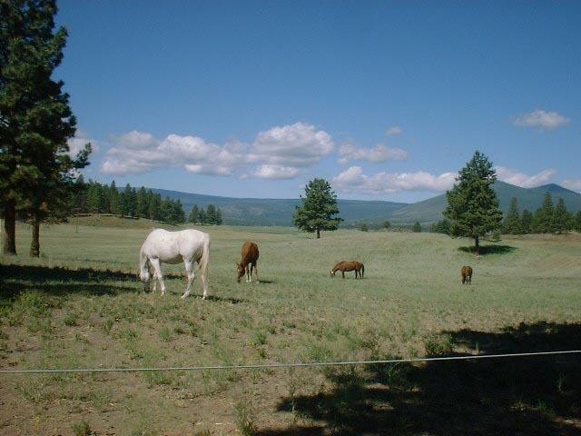 18689 Sprague River Road Chiloquin, OR 97624 - Photo 24 of 34 Additional Photo