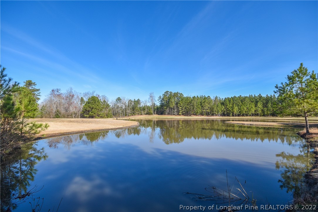 1396 Line Road Cameron, NC 28326 - Photo 1 of 42 Gallery Image 1