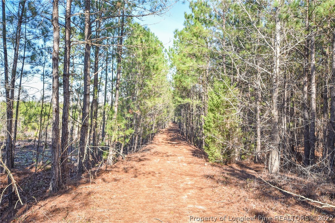 1396 Line Road Cameron, NC 28326 - Photo 40 of 42 Gallery Image 40