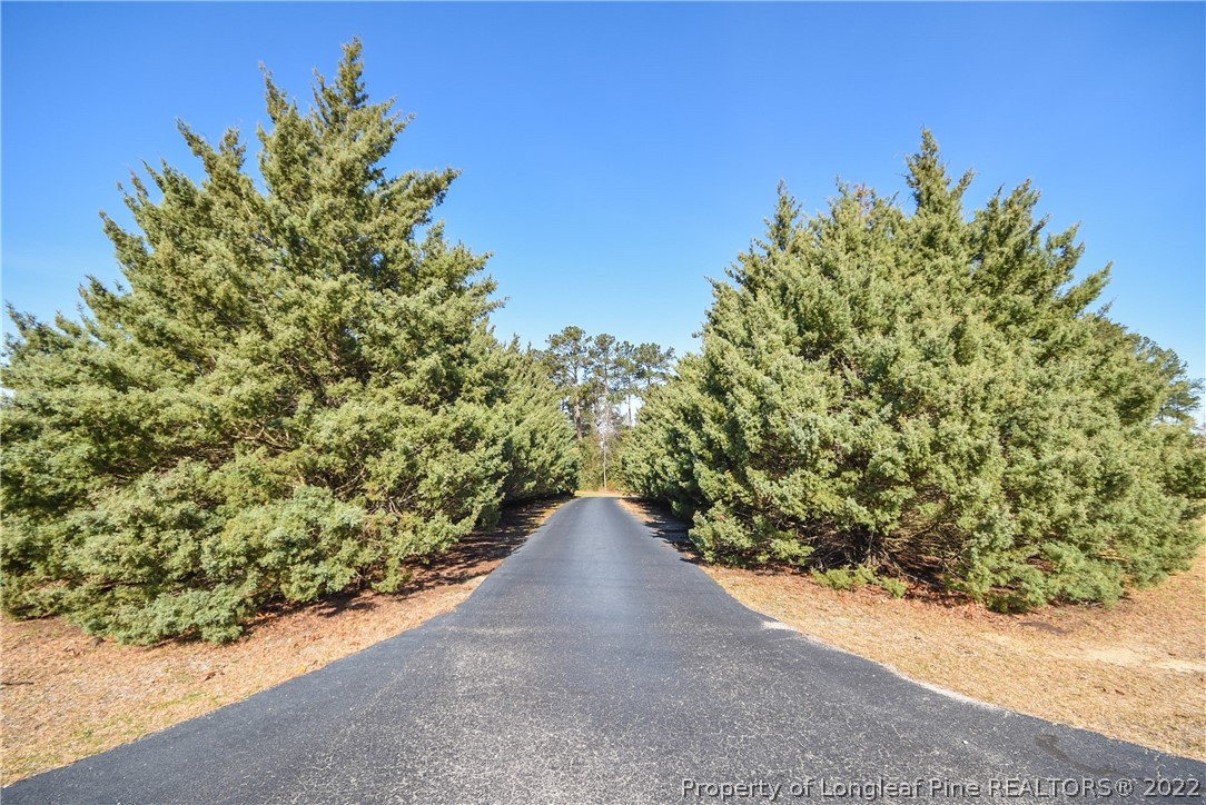 1396 Line Road Cameron, NC 28326 - Photo 4 of 42 Gallery Image 4