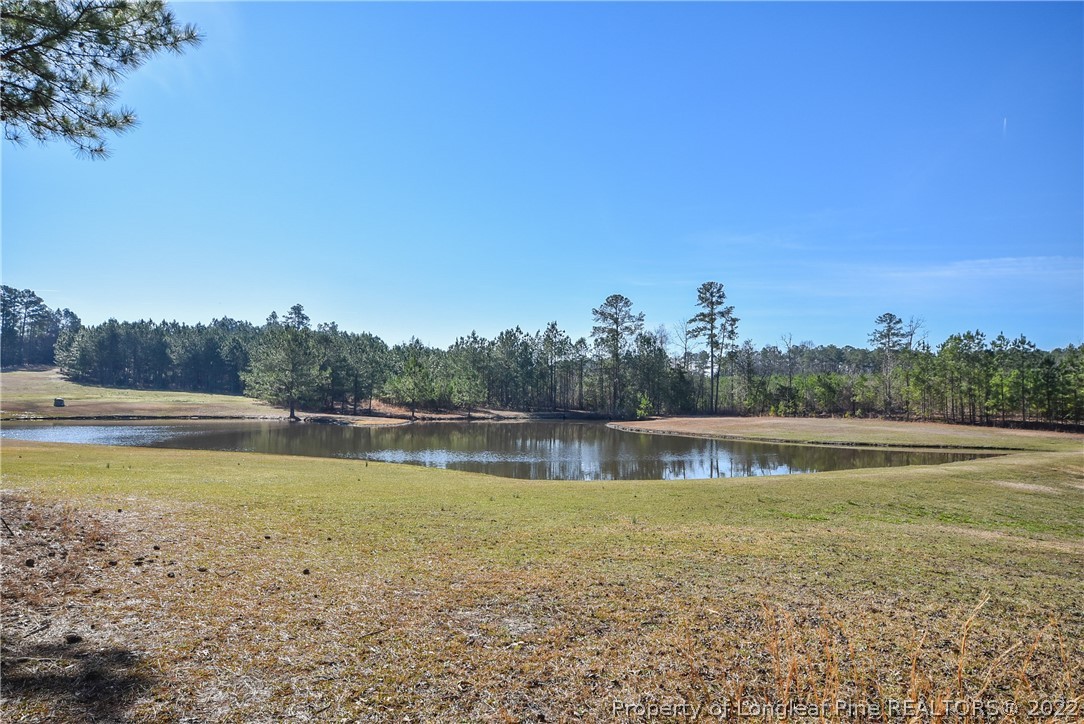 1396 Line Road Cameron, NC 28326 - Photo 41 of 42 Gallery Image 41