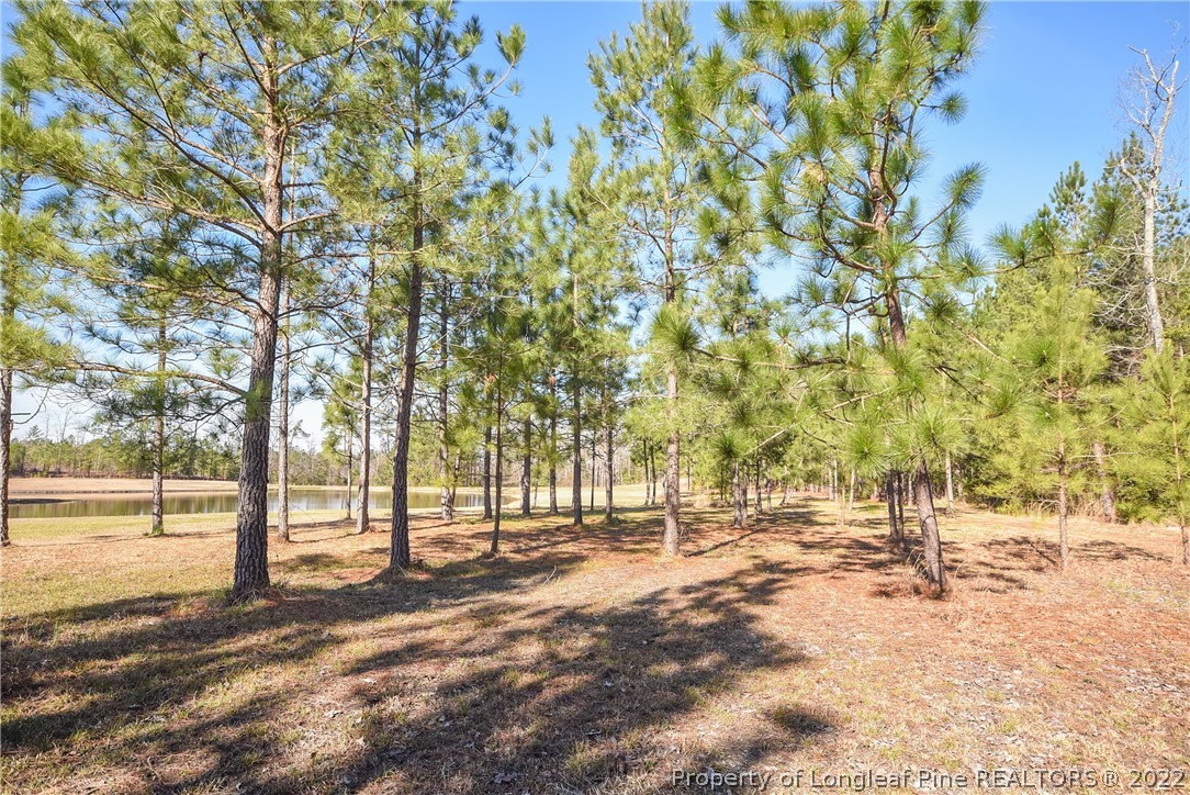 1396 Line Road Cameron, NC 28326 - Photo 42 of 42 Gallery Image 42