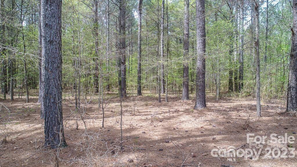 5506 Army Road, Unit 21 Marshville, NC 28103 - Photo 1 of 1 Gallery Image 1
