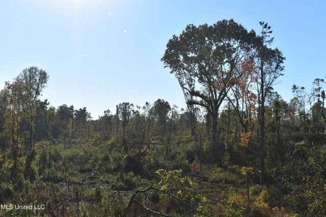 $60,000 | 5 Marianna Road, Holly Springs, MS 38635