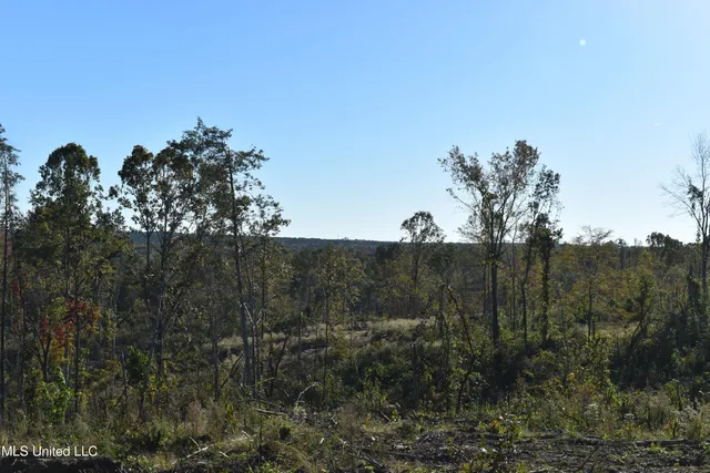 $60,000 | 5 Marianna Road, Holly Springs, MS 38635