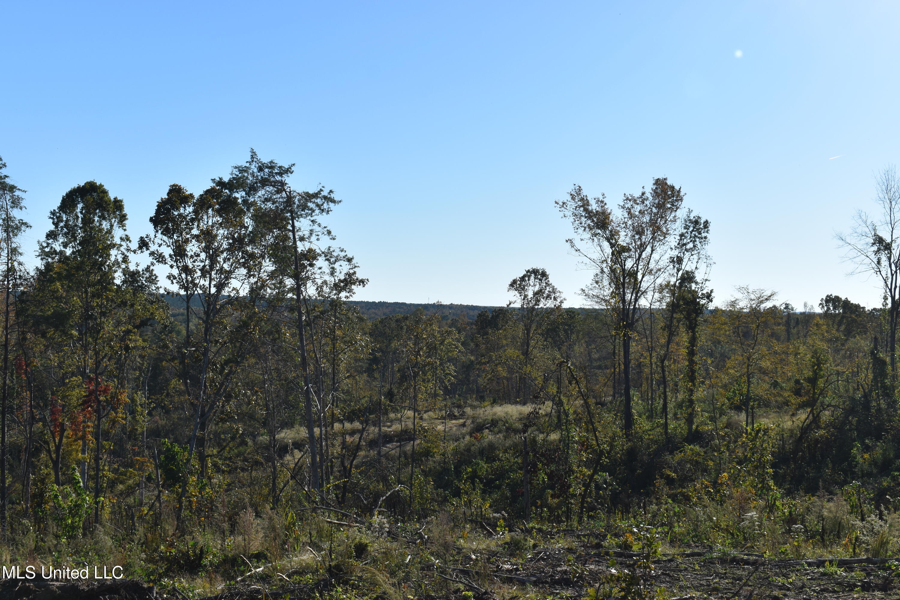 5 Marianna Road Holly Springs, MS 38635 - Photo 5 of 16 DSC_0647