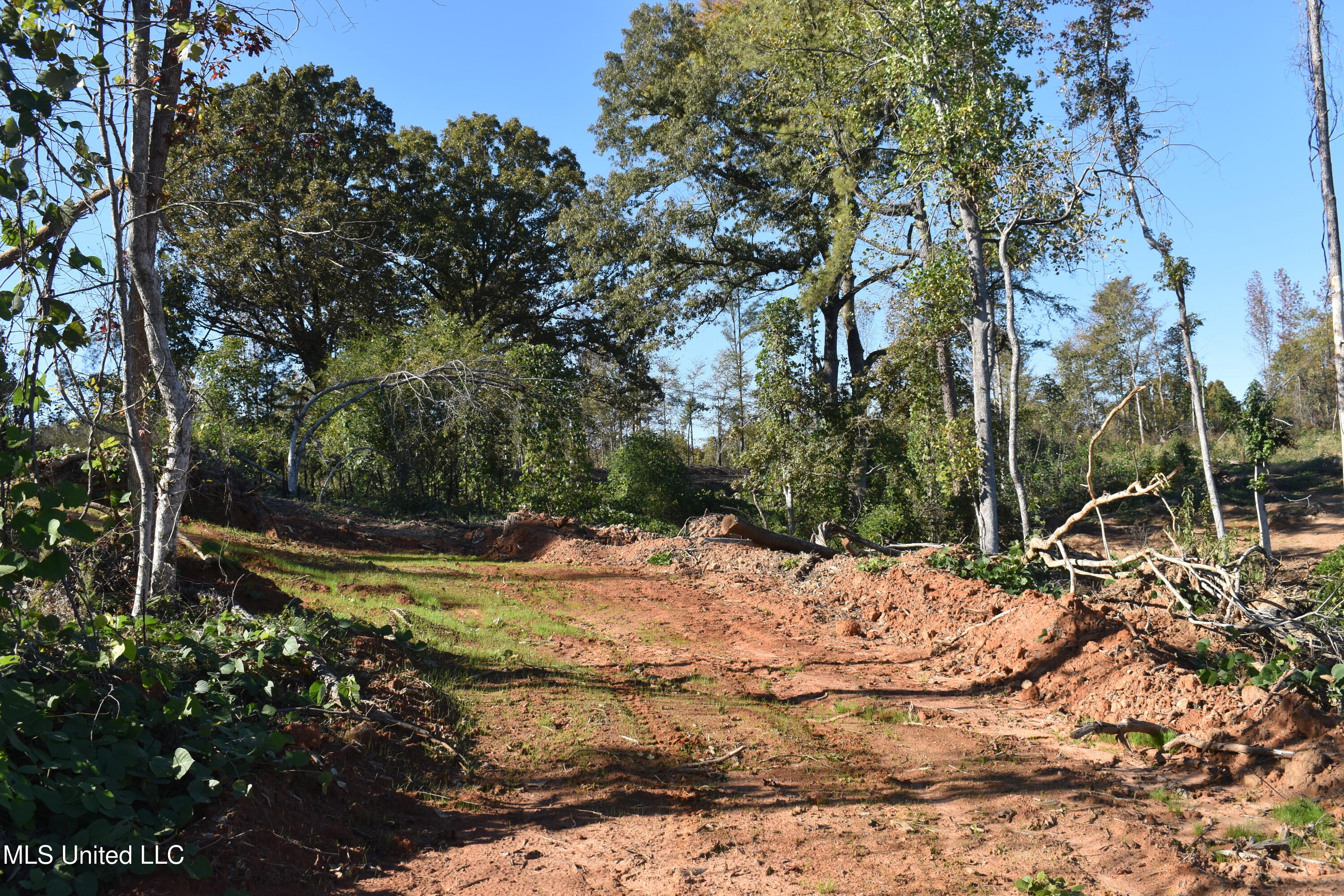 5 Marianna Road Holly Springs, MS 38635 - Photo 7 of 16 Marianna Rd Lot 3 Pic