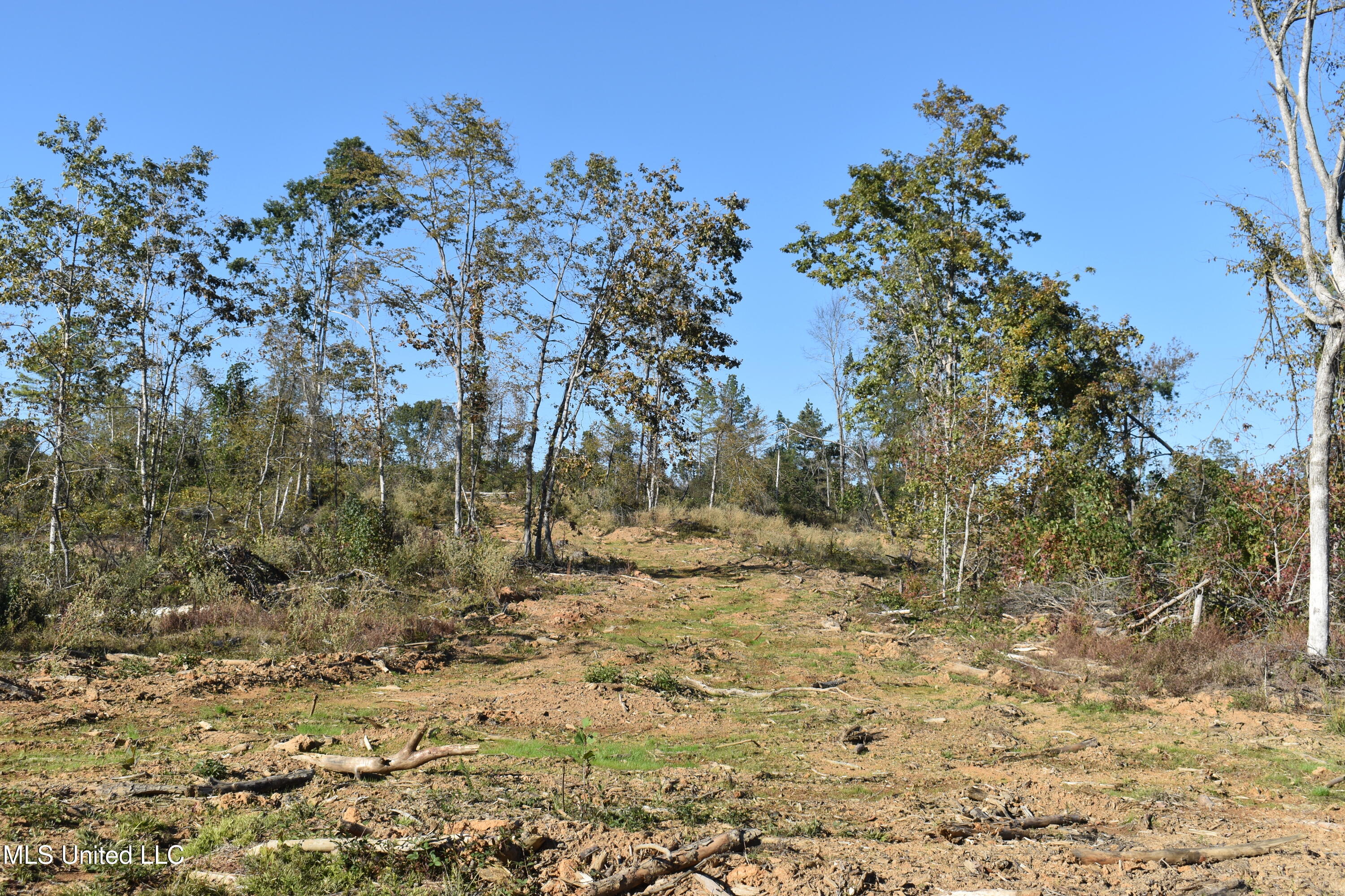 5 Marianna Road Holly Springs, MS 38635 - Photo 8 of 16 DSC_0639