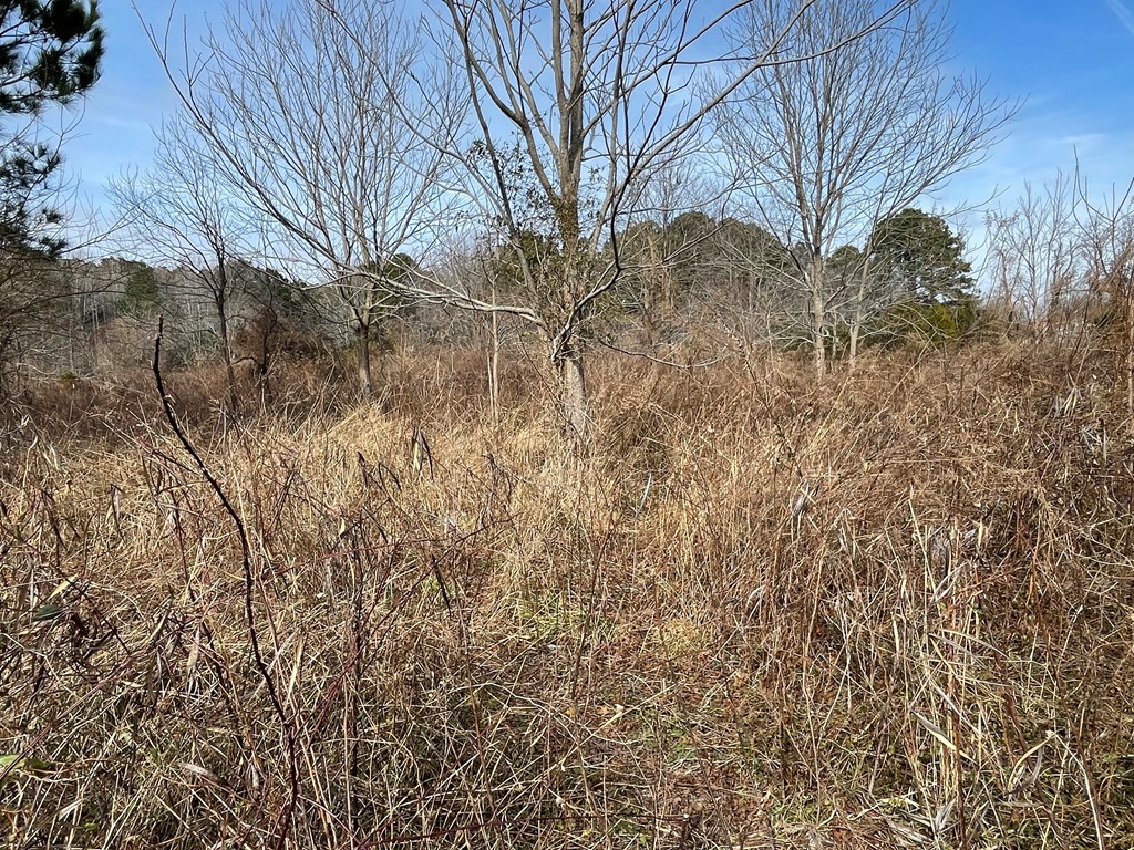 3.65 Old Neck Road, Unit 1 Weems, VA 22576 - Photo 27 of 35