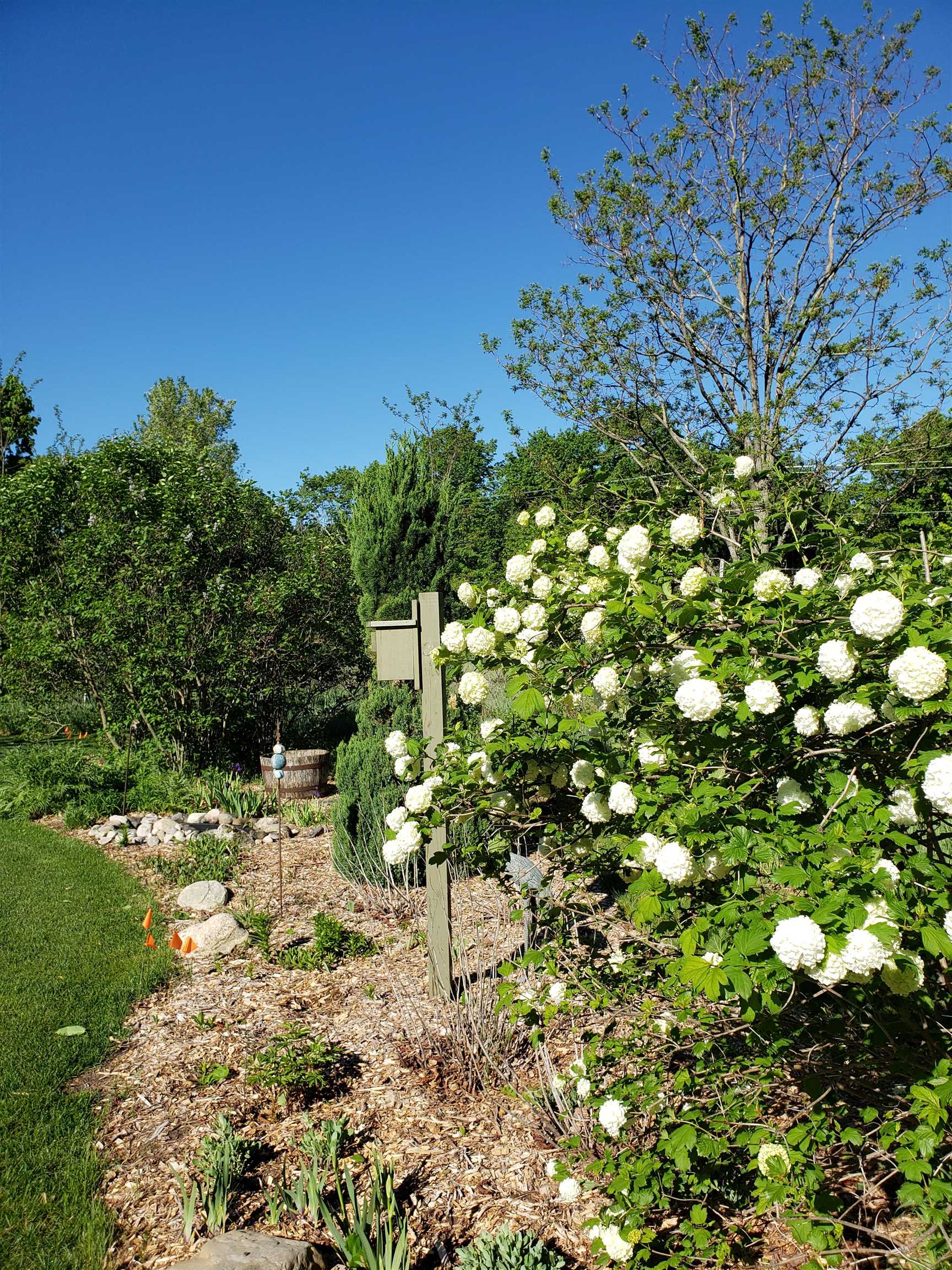 777 East Cemetery Road Cedar, MI 49621 - Photo 44 of 63 Gallery Image 44