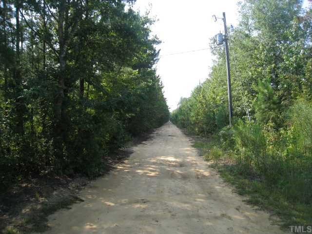 3201 Duck Pond Road Linden, NC 28356 - Photo 3 of 4 driveway