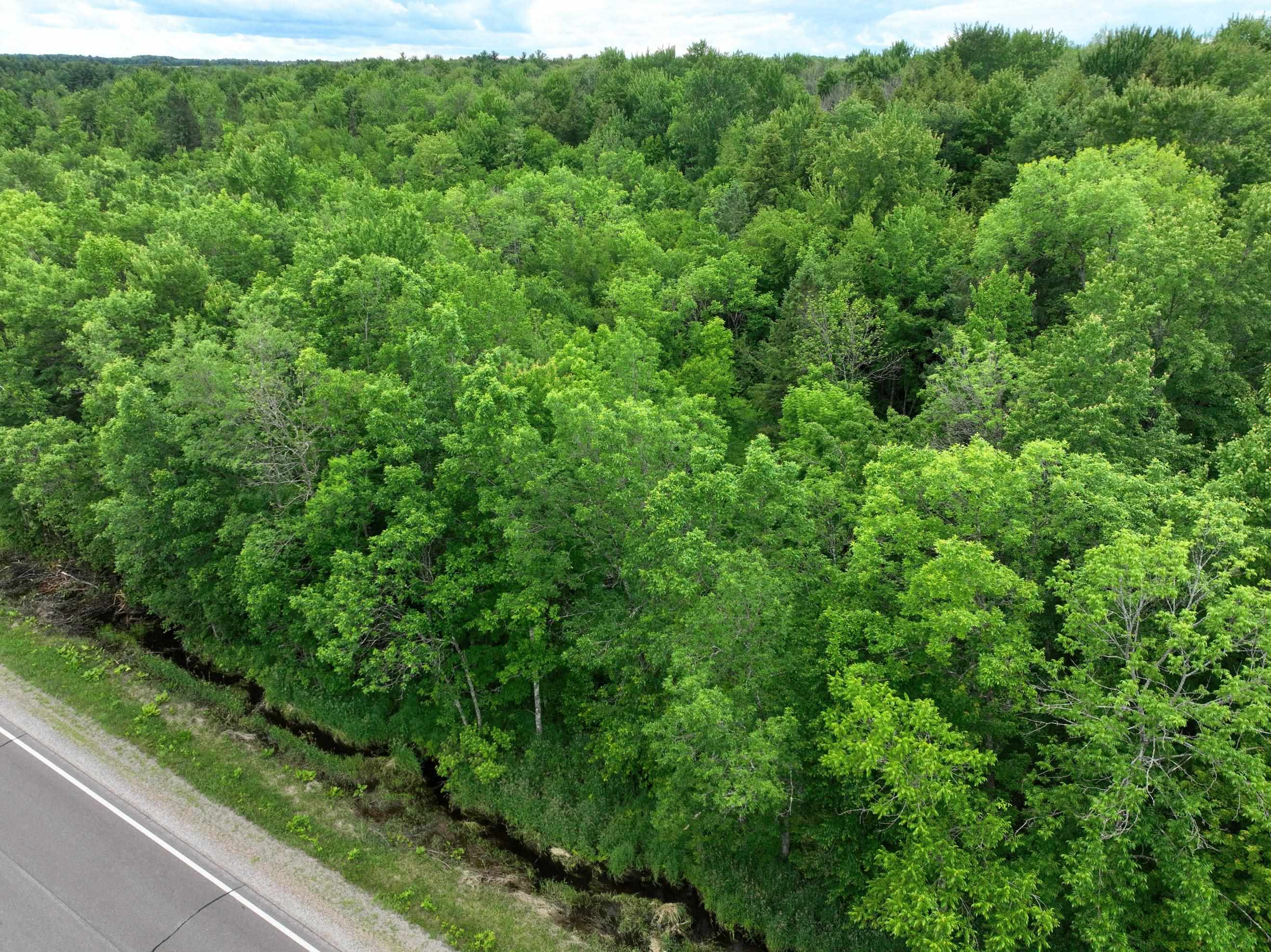 118.88-acres On County Rd O Wausau, WI 54401 - Photo 8 of 15