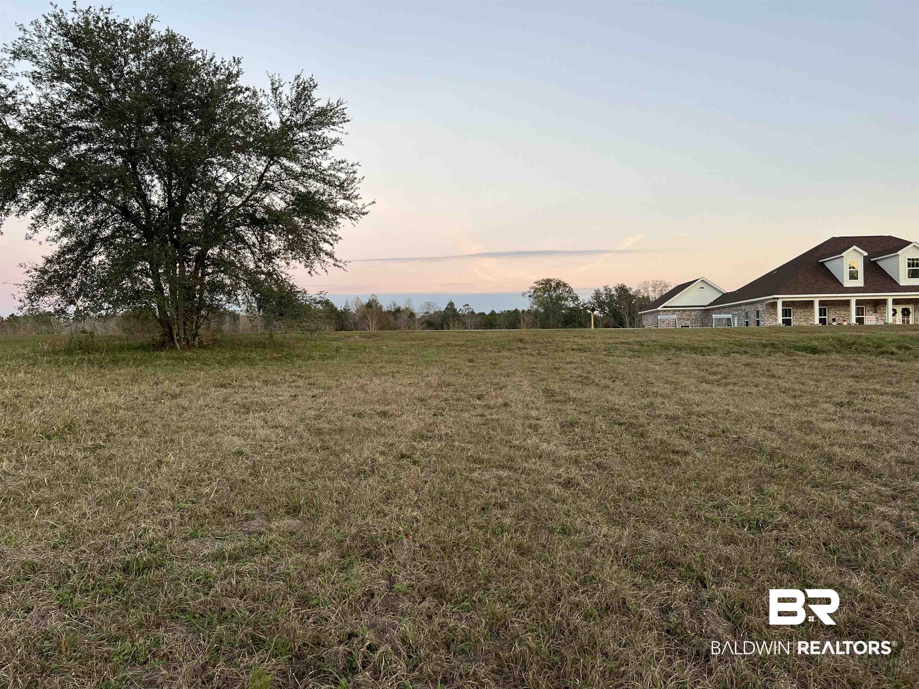 23331 Balsam Creek Drive Elberta, AL 36530 - Photo 8 of 17 East