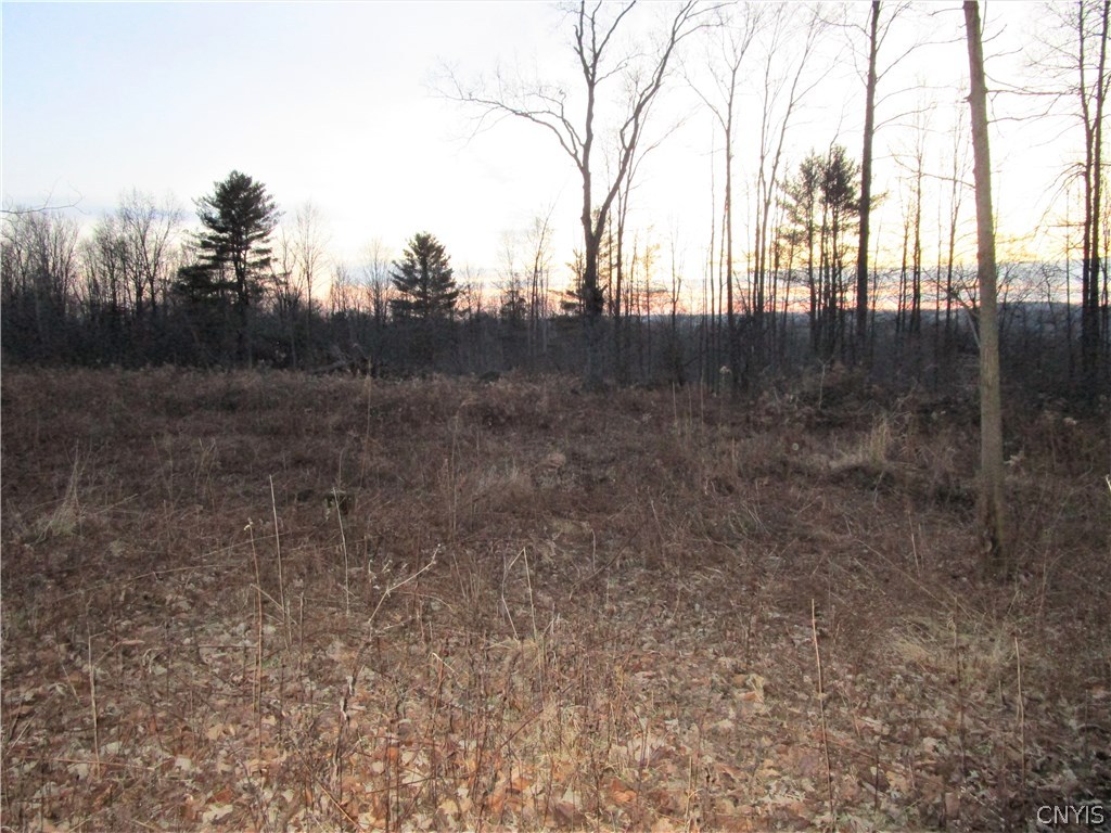 0 French Hill Road Locke, NY 13092 - Photo 1 of 1 Gallery Image 1