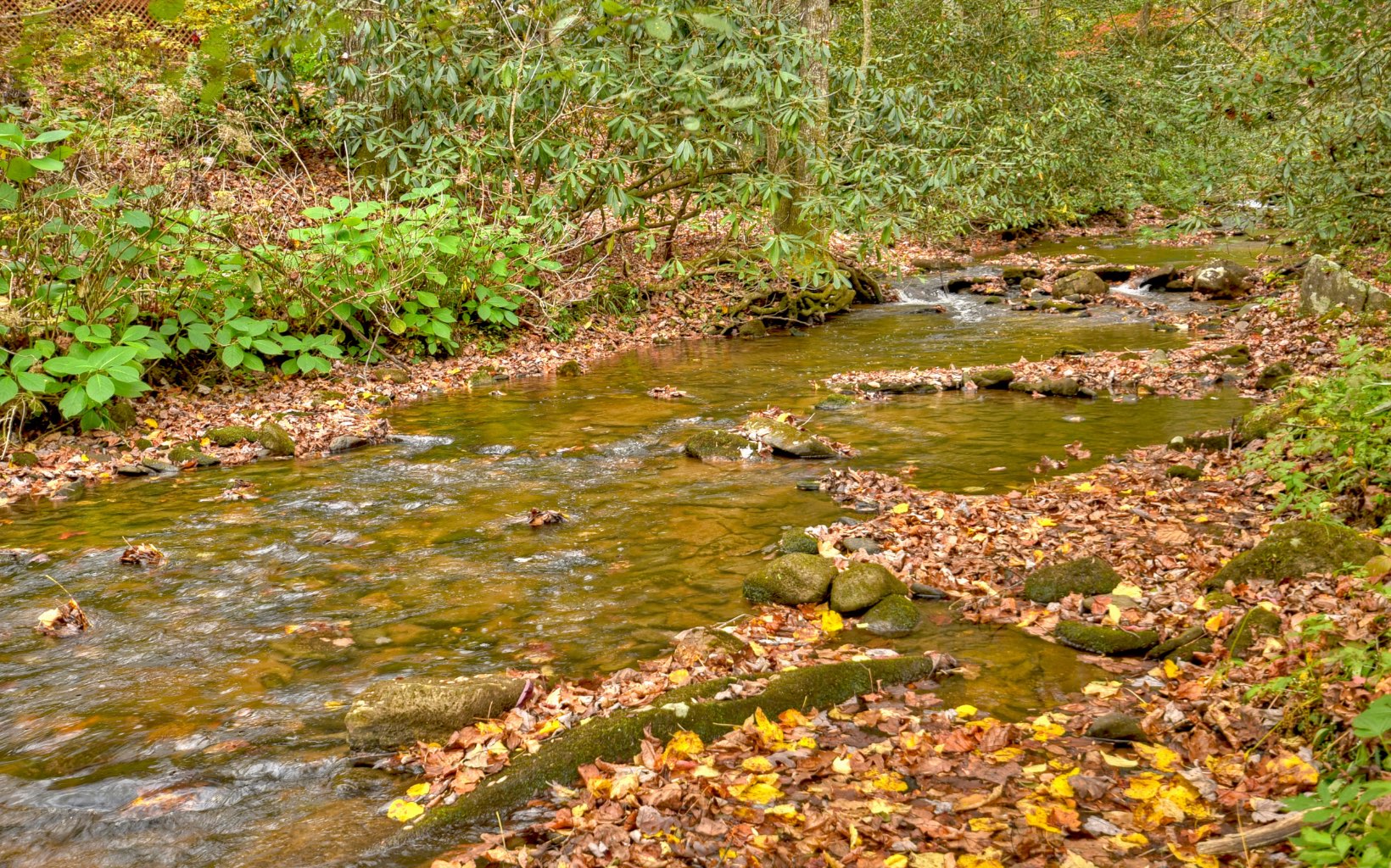 2349 Stanley Creek Road Cherry Log, GA 30522 - Photo 20 of 45 Additional View