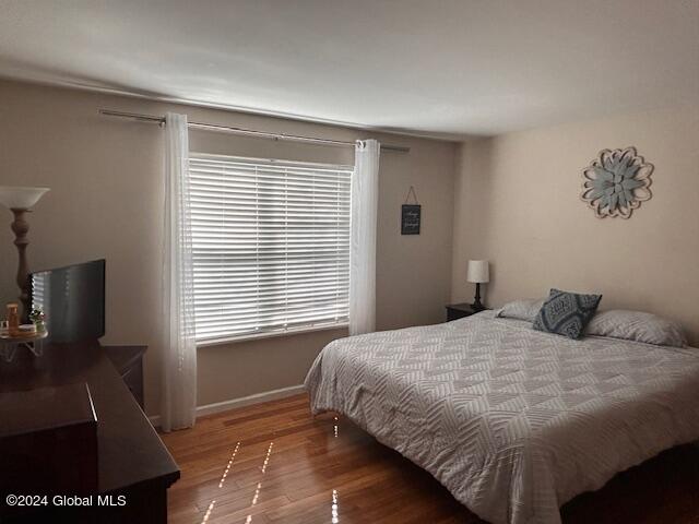 1409 Balltown Road Niskayuna, NY 12309 - Photo 46 of 55 IMG_9742