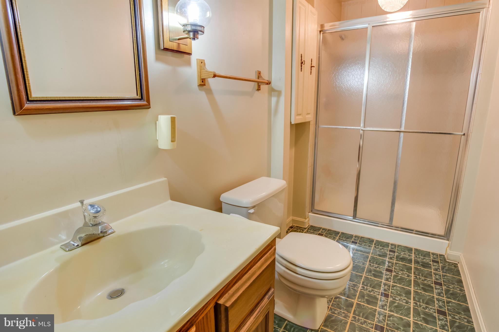 7482 Wounded Knee Road Lorton, VA 22079 - Photo 23 of 29 a bathroom with a sink a toilet and shower